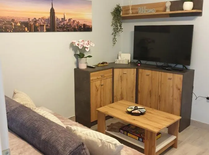 Silver Zsory 펜션 *