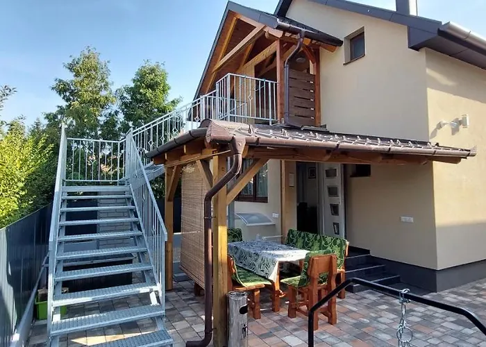 Silver Zsory * 메조코베스드