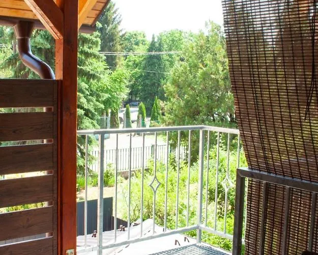 Silver Zsory * 메조코베스드