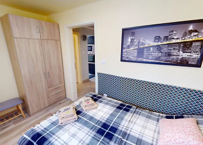 Silver Zsory 펜션 메조코베스드