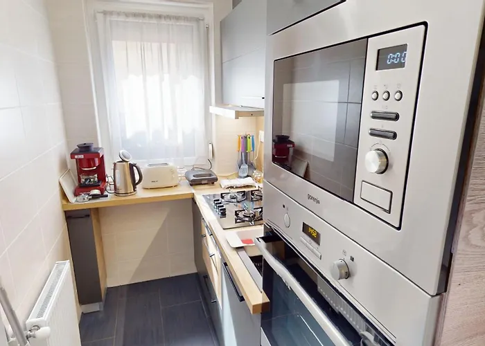 Silver Zsory * 메조코베스드