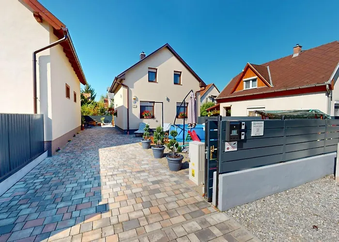 Silver Zsory * 메조코베스드