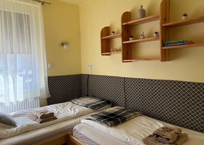 Silver Zsory 메조코베스드